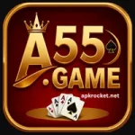 A55 Game