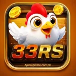 33RS